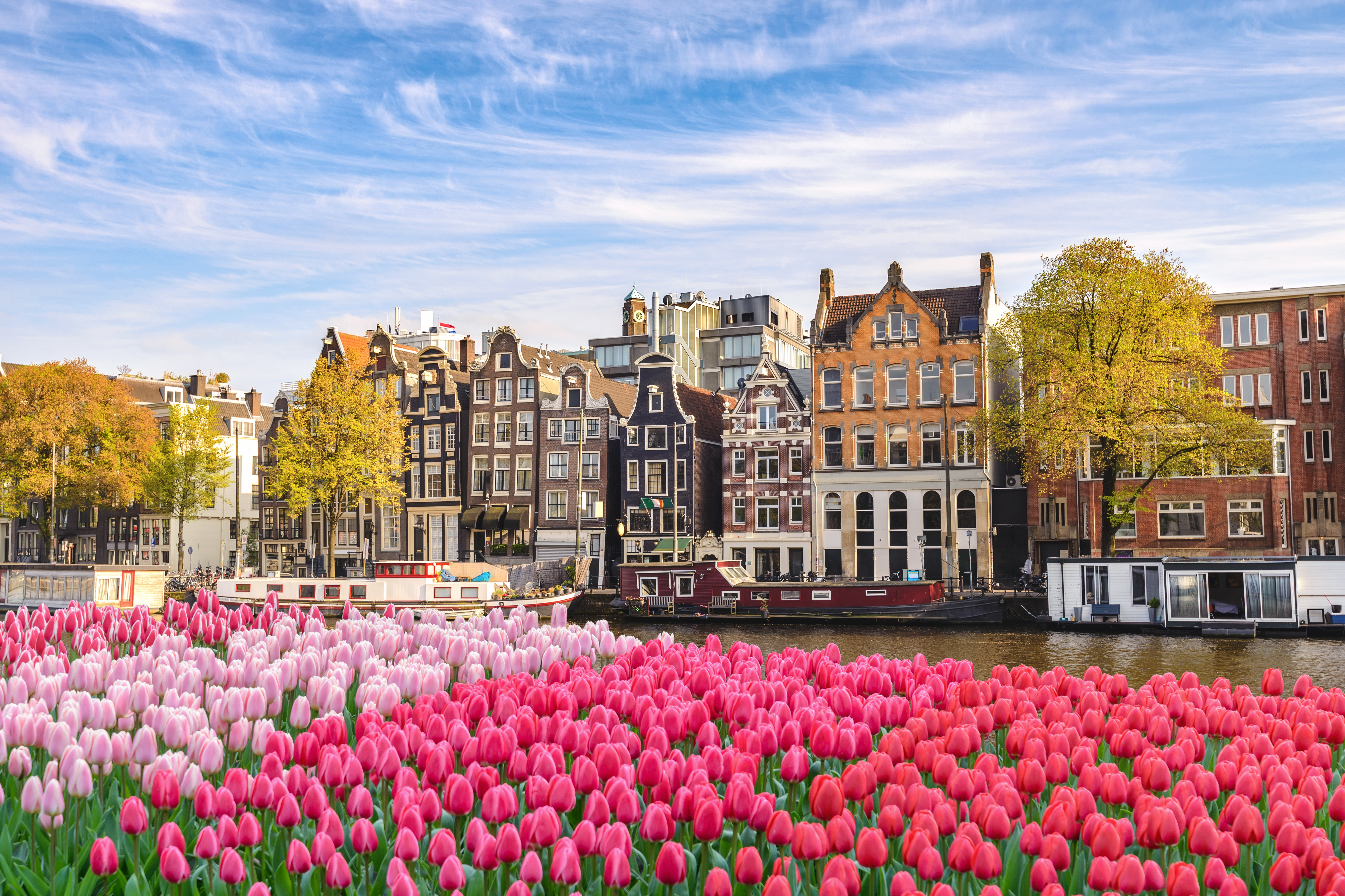 Amsterdam and Paris Educational Tour | Amsterdam at Night