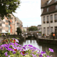 Go Green Germany and France Educational Tour | Germany