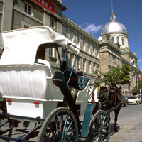 Montreal Three Day History Tour | Carriage Ride