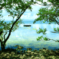 Florida by Land and Sea Educational Tour | Coast