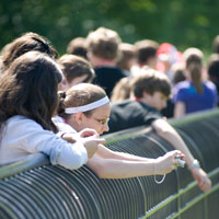 Niagara Falls Essentials Three Day Spring Tour | Students Overlooking Falls