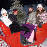 Quebec Three Day Winter Tour | Students Sledding