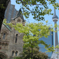 Toronto Two Day Tour | Toronto