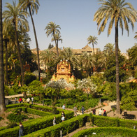Spain and Morocco Educational Tour | Street