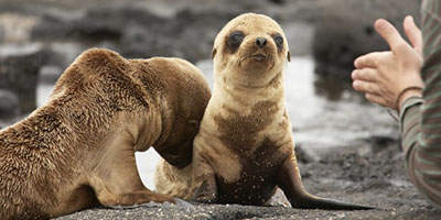 Galapagos Island Adventure